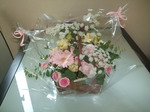 DSCF2489.JPG