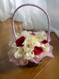 image/mizutanisakura-2006-11-25T15:06:00-1.jpg