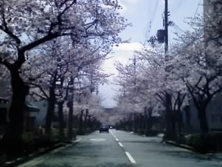 08-03-31_001.jpg