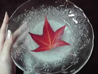 08-10-30_002.jpg